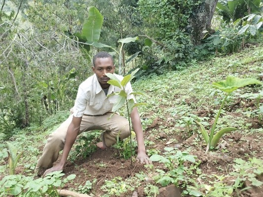June 2023: Tabora Forest Gardens Project Update: 95% Early Survival Rate 